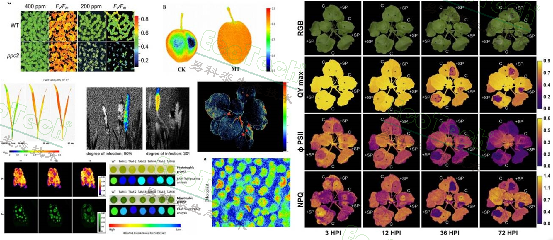 77779193永利官网(集团)有限公司