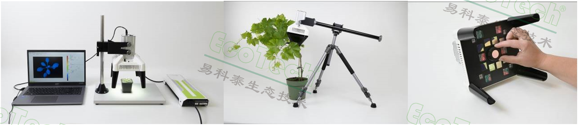 77779193永利官网(集团)有限公司