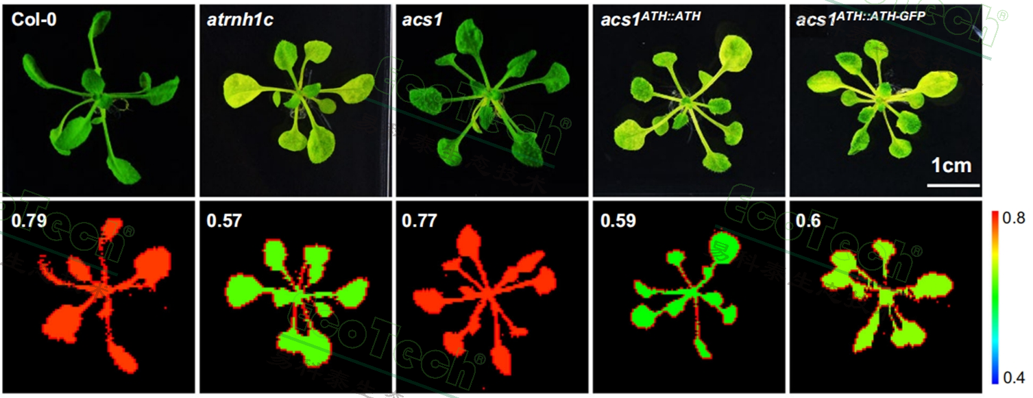 77779193永利官网(集团)有限公司