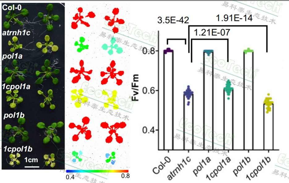 77779193永利官网(集团)有限公司