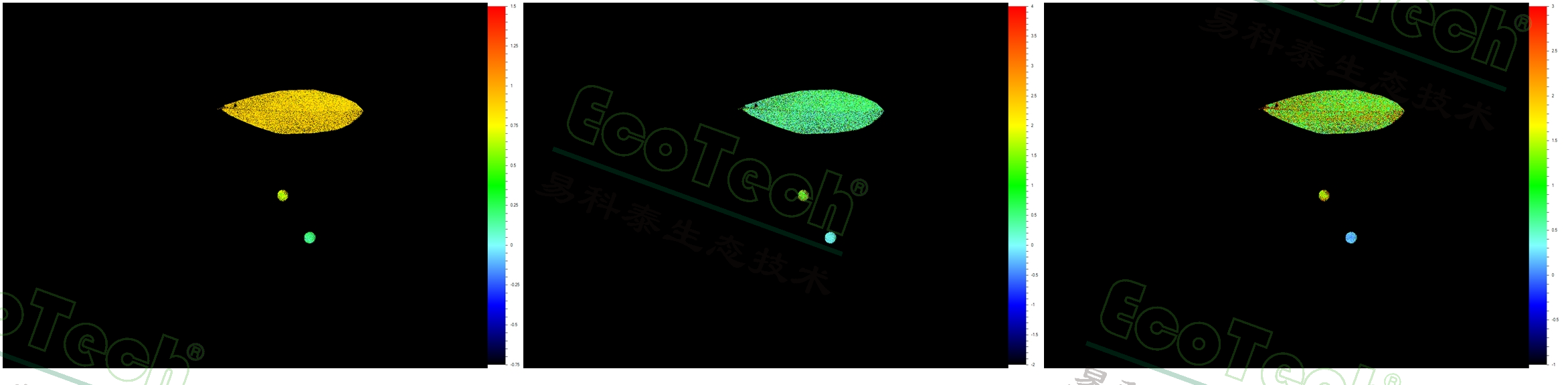 77779193永利官网(集团)有限公司