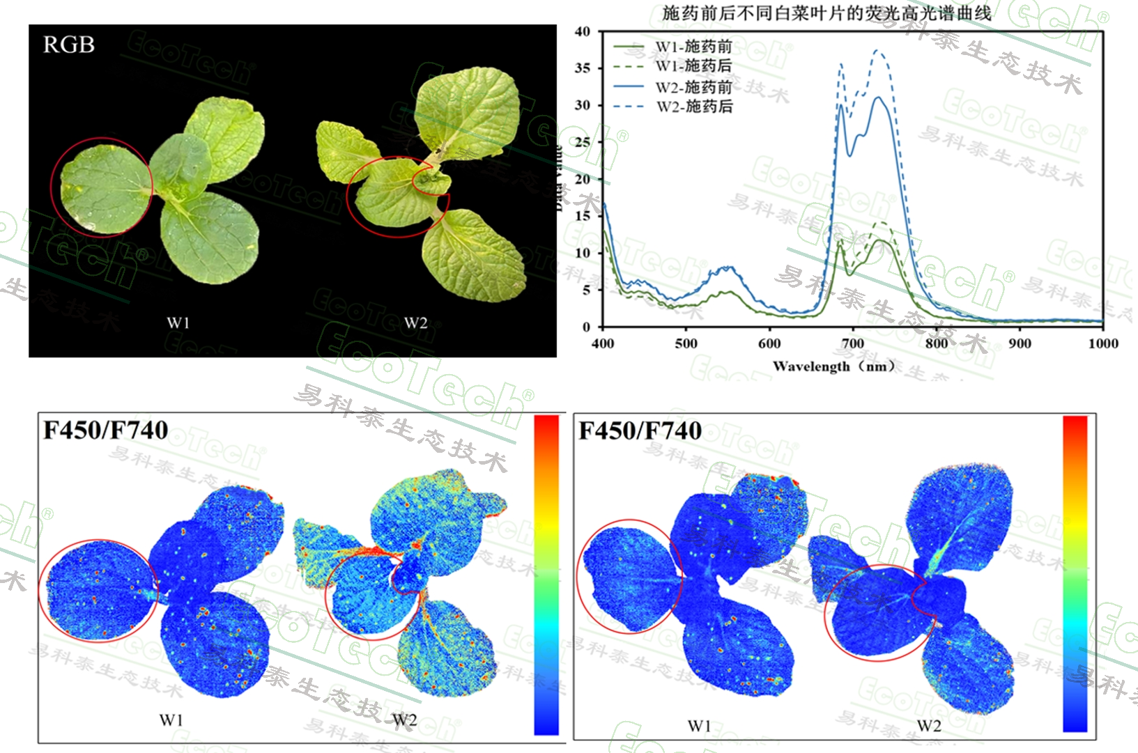 77779193永利官网(集团)有限公司