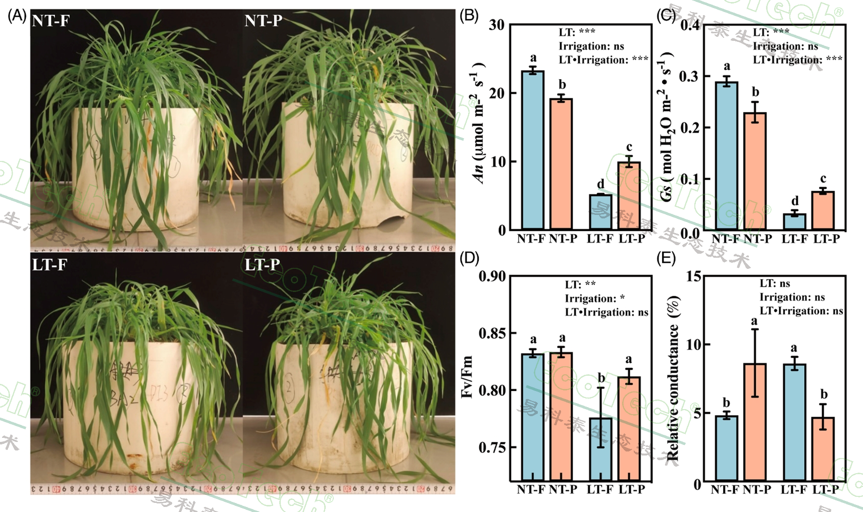 77779193永利官网(集团)有限公司