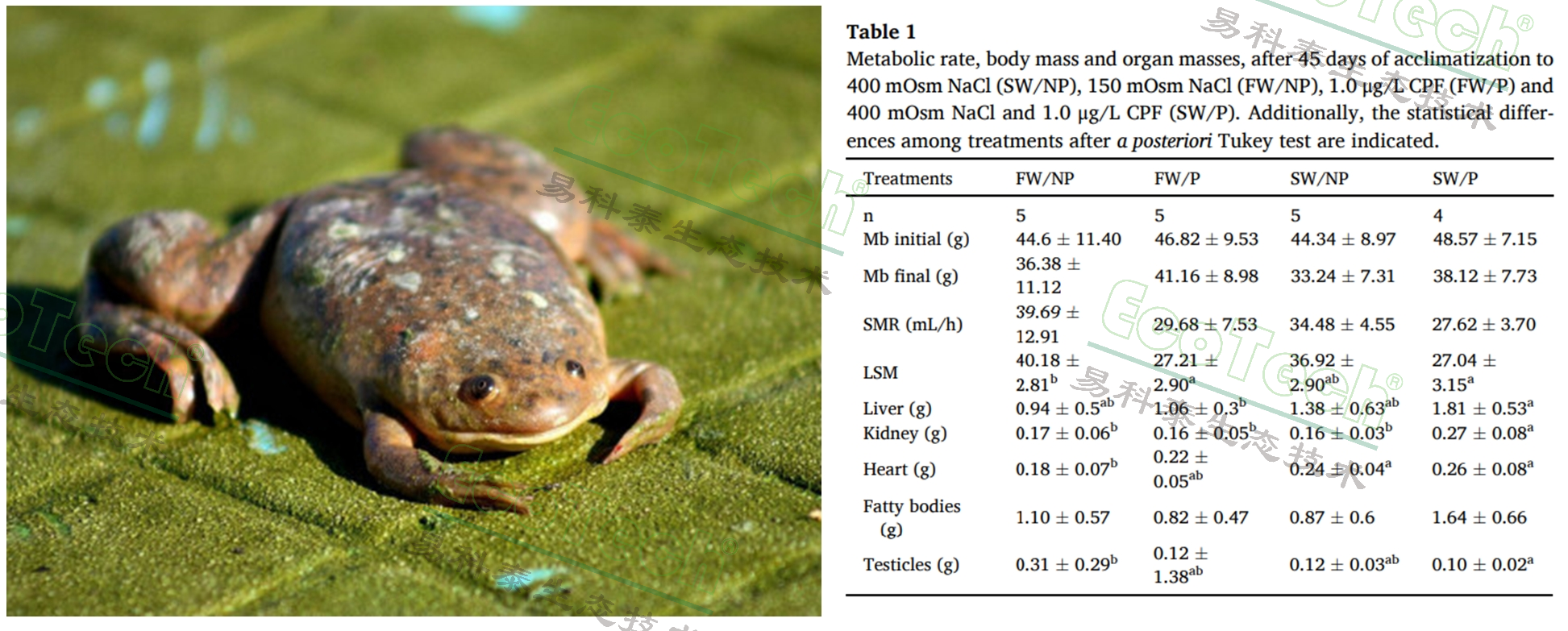 77779193永利官网(集团)有限公司