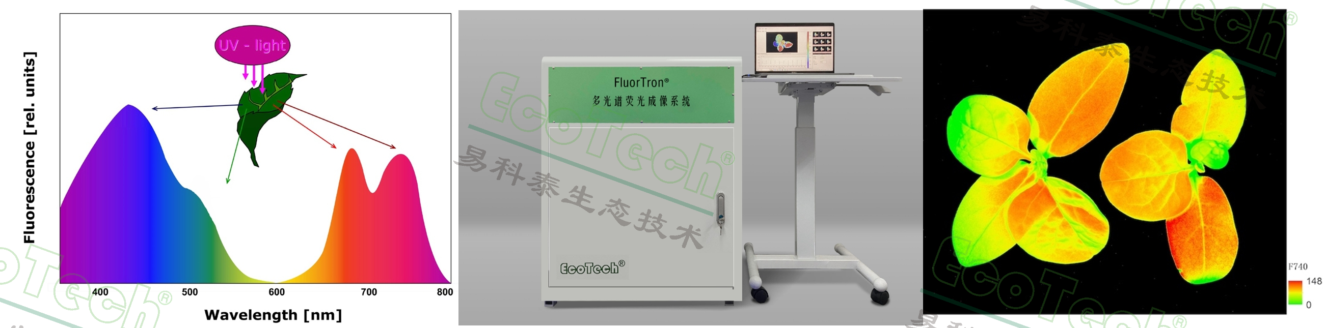 77779193永利官网(集团)有限公司