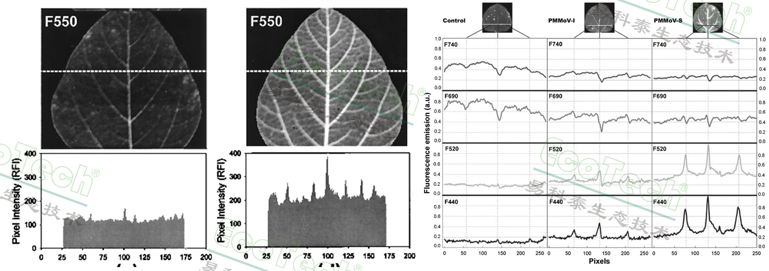 77779193永利官网(集团)有限公司