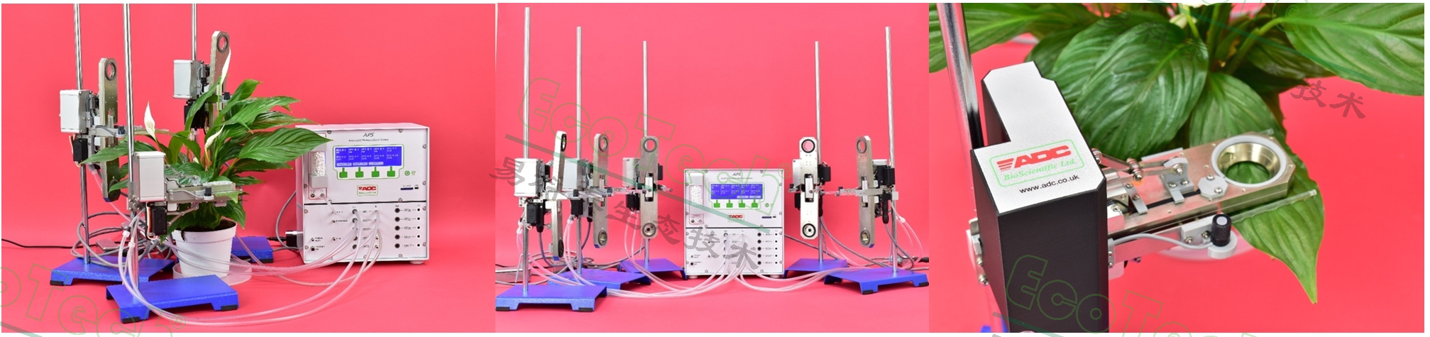 77779193永利官网(集团)有限公司