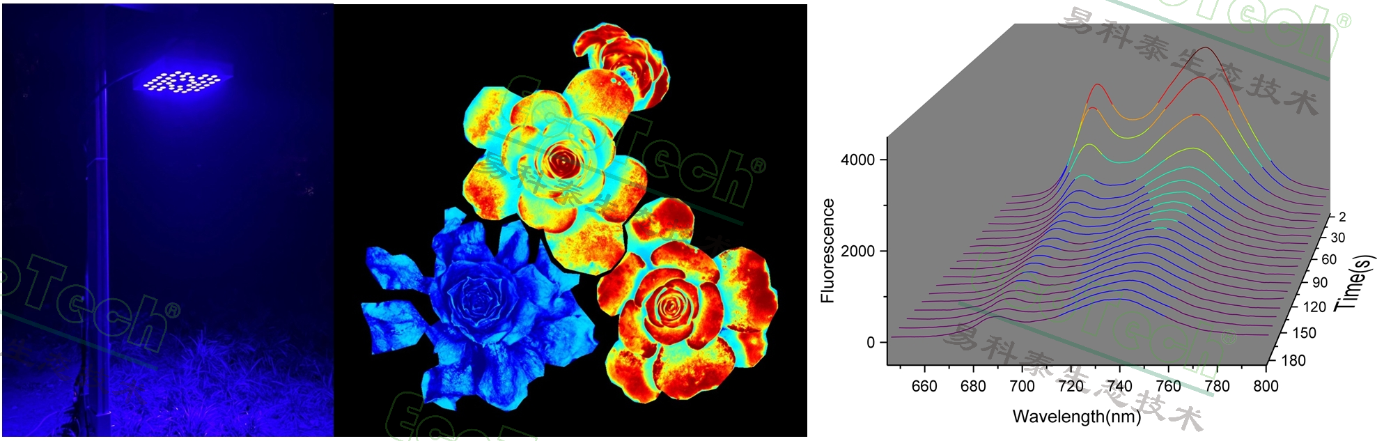 77779193永利官网(集团)有限公司