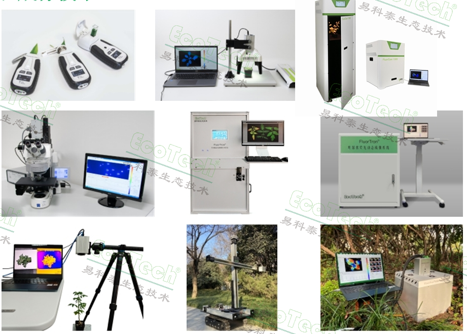 77779193永利官网(集团)有限公司