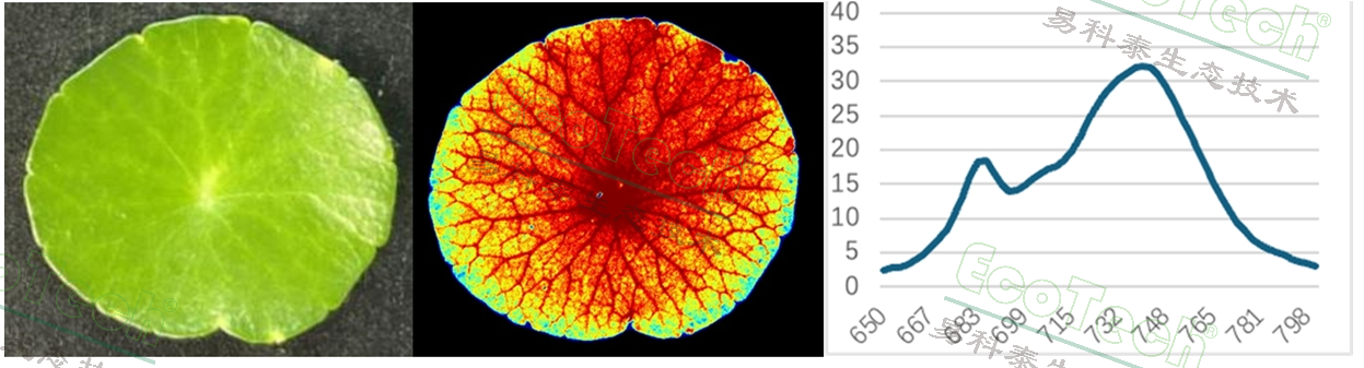 77779193永利官网(集团)有限公司