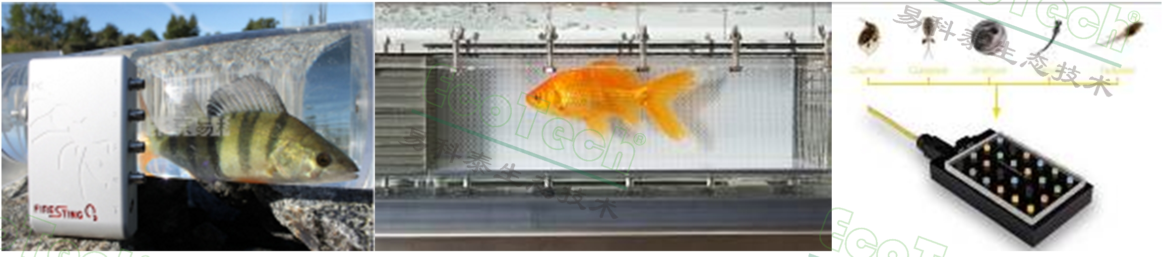 77779193永利官网(集团)有限公司