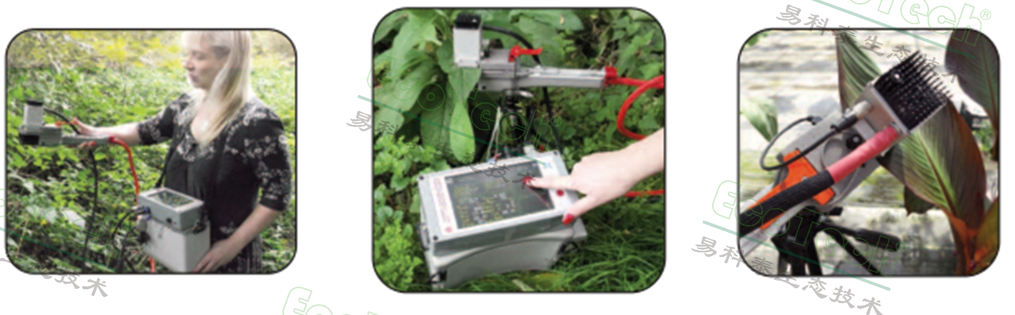 77779193永利官网(集团)有限公司