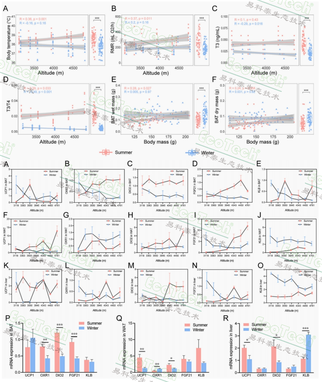 77779193永利官网(集团)有限公司