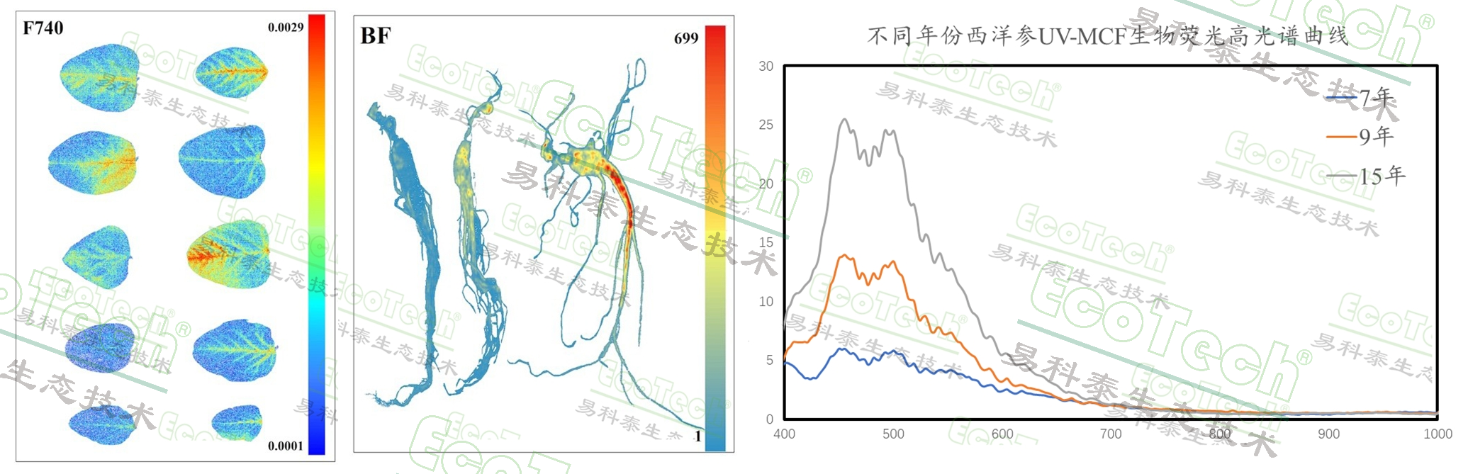 77779193永利官网(集团)有限公司