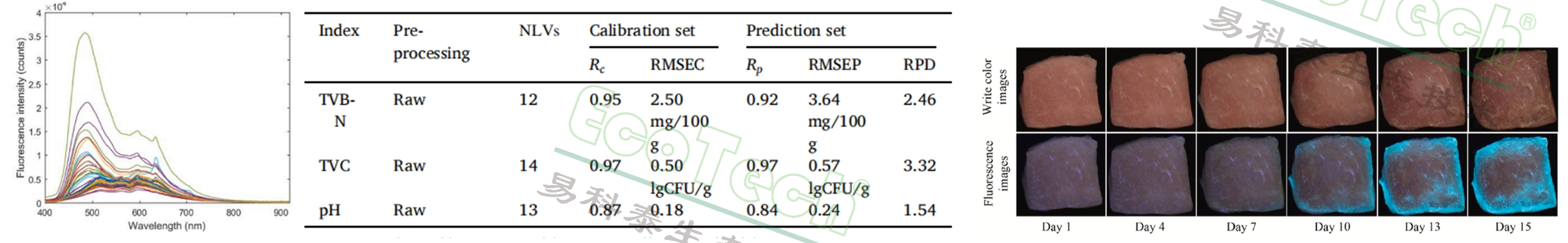 77779193永利官网(集团)有限公司