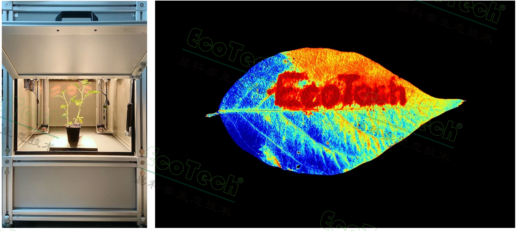 77779193永利官网(集团)有限公司