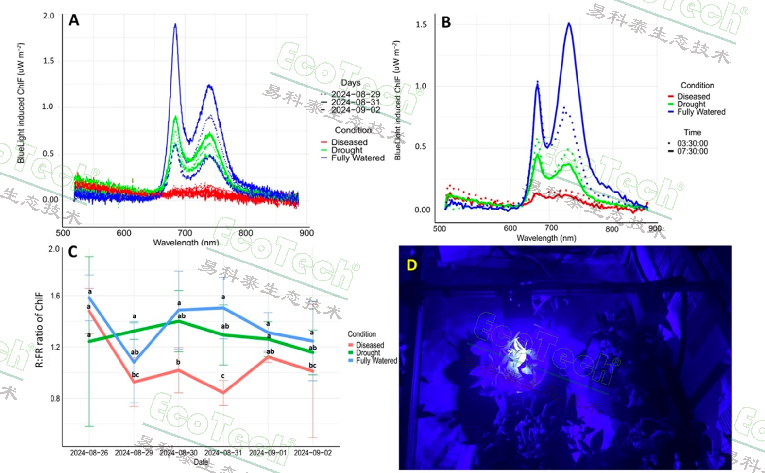 77779193永利官网(集团)有限公司