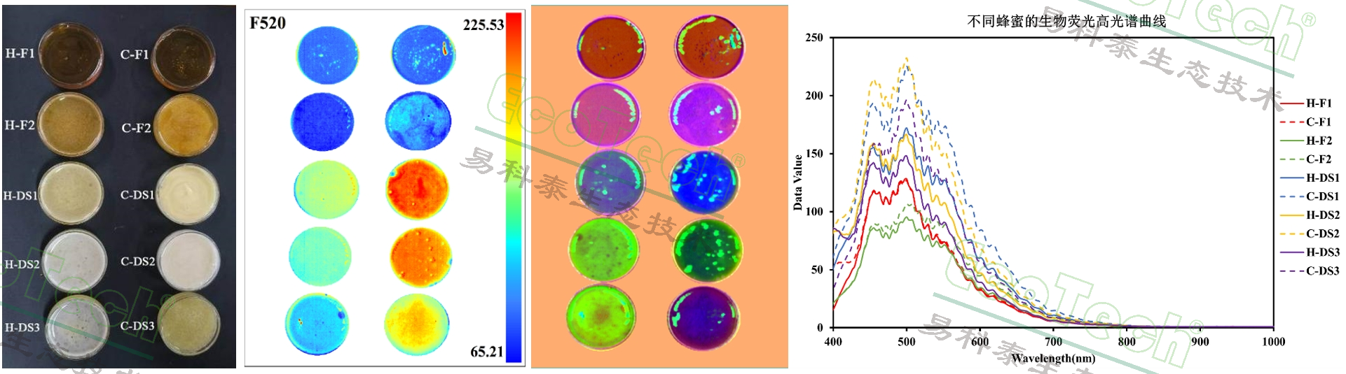 77779193永利官网(集团)有限公司