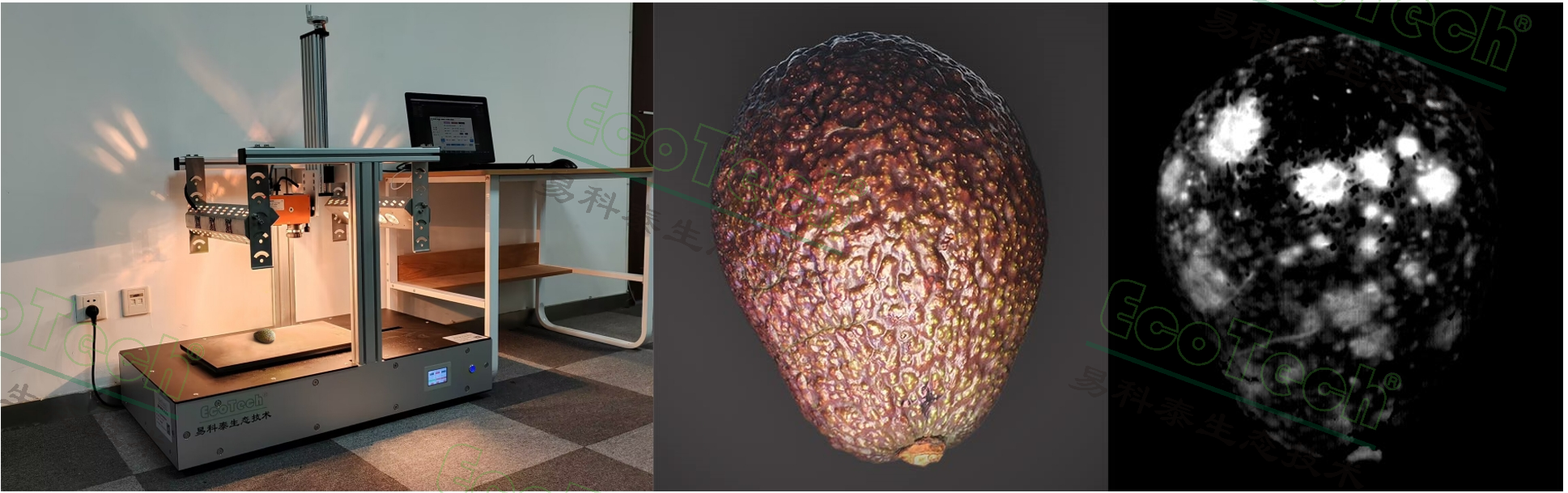 77779193永利官网(集团)有限公司