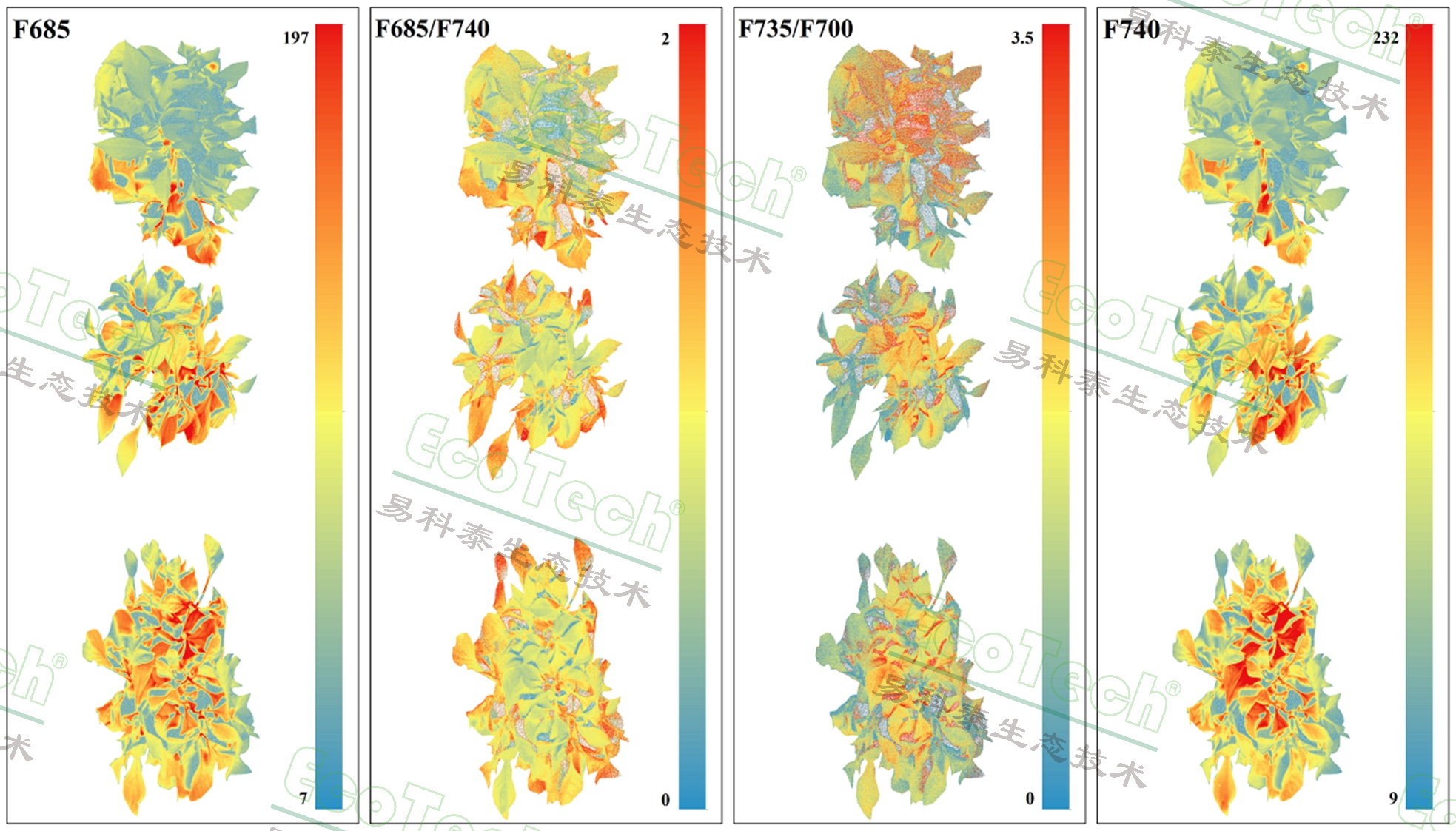 77779193永利官网(集团)有限公司