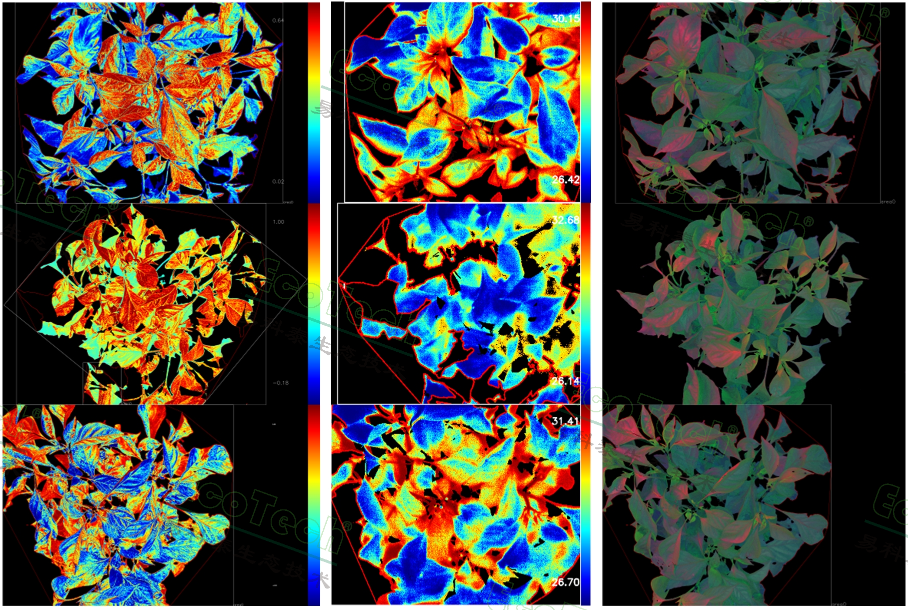 77779193永利官网(集团)有限公司