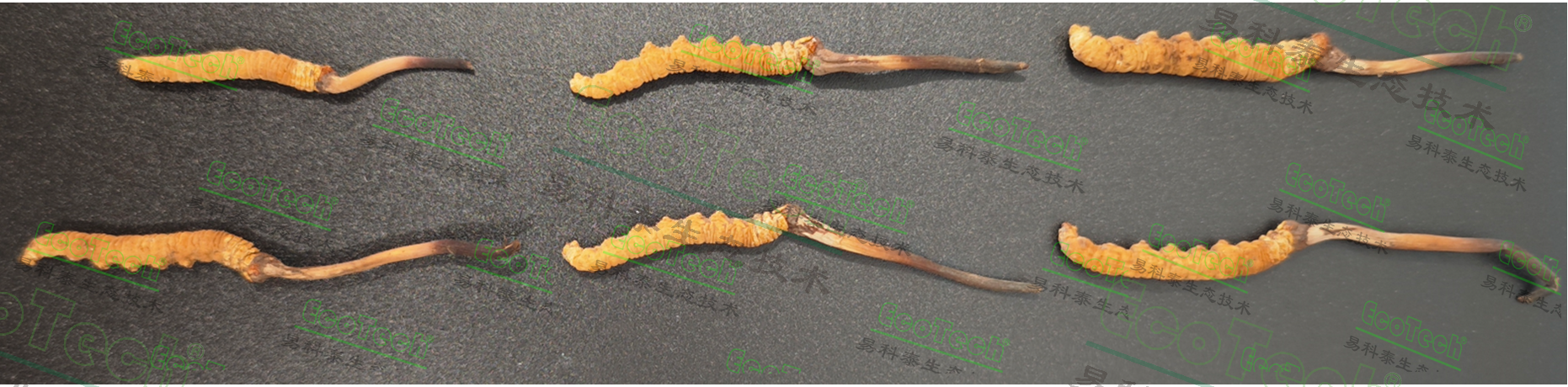 77779193永利官网(集团)有限公司