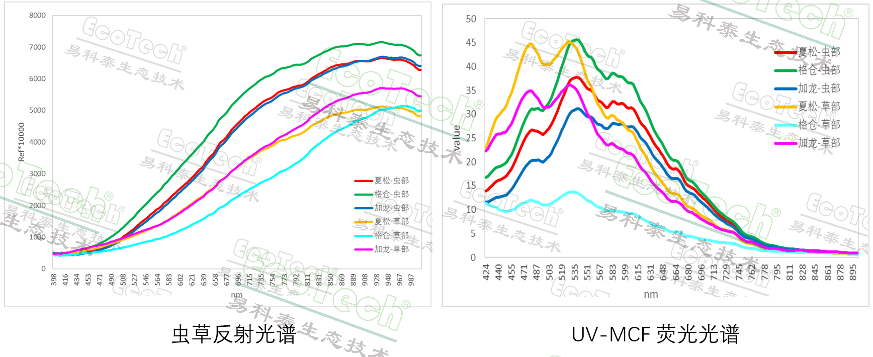 77779193永利官网(集团)有限公司