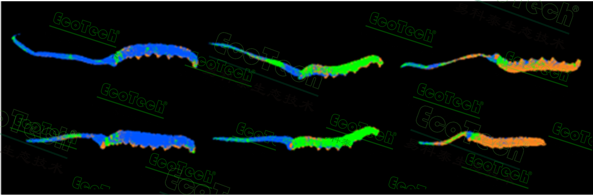 77779193永利官网(集团)有限公司
