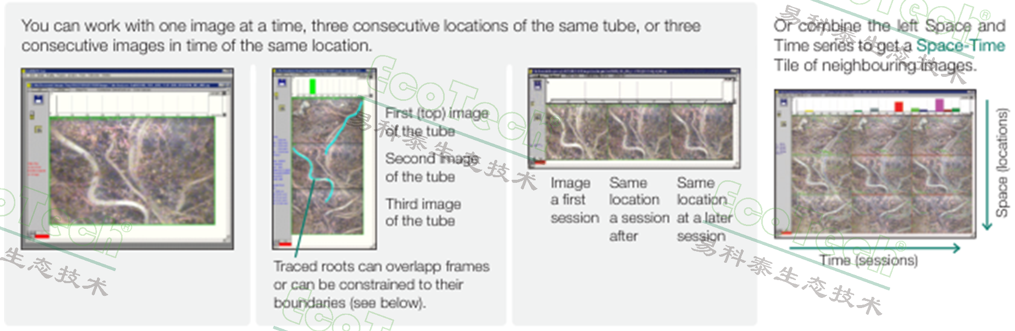 77779193永利官网(集团)有限公司