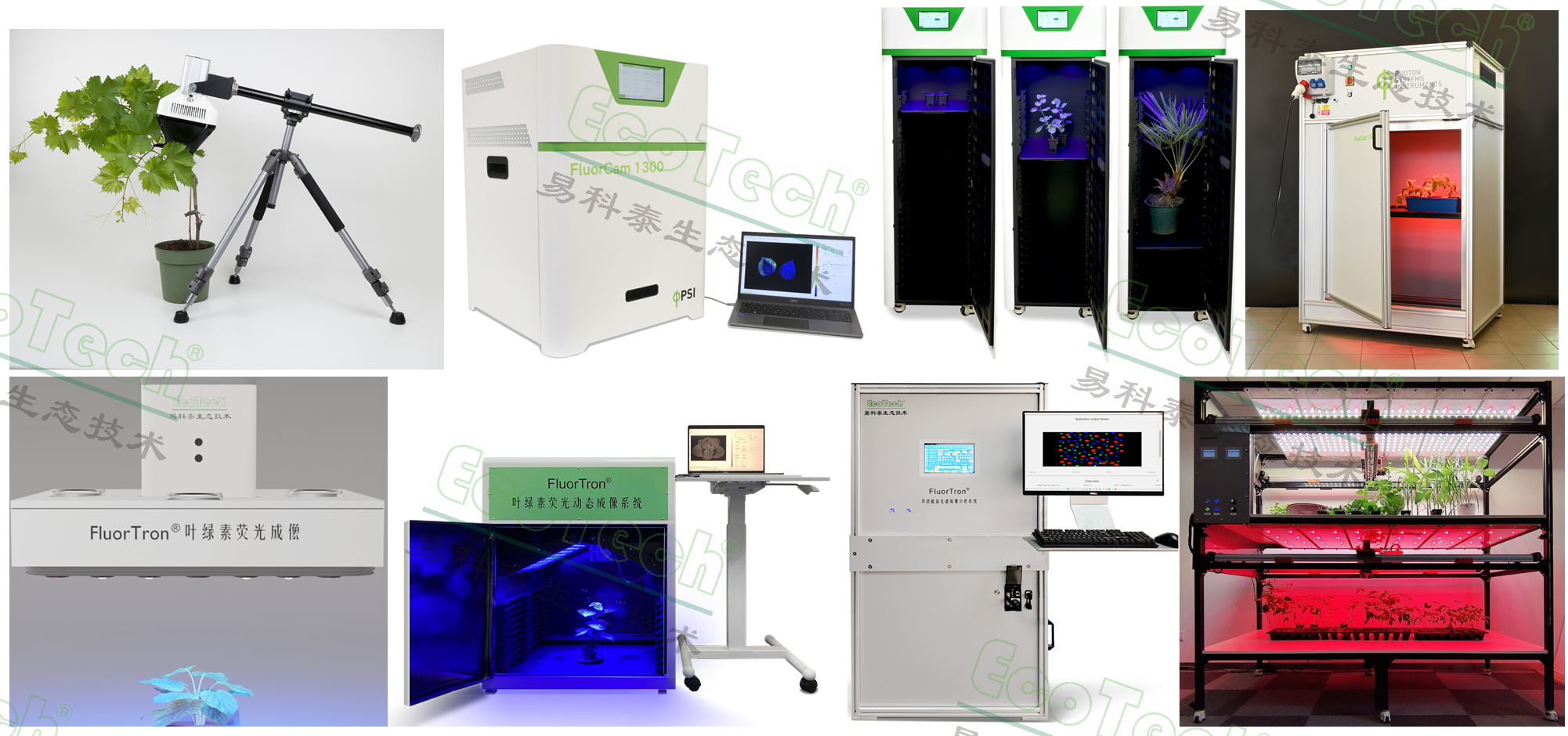 77779193永利官网(集团)有限公司