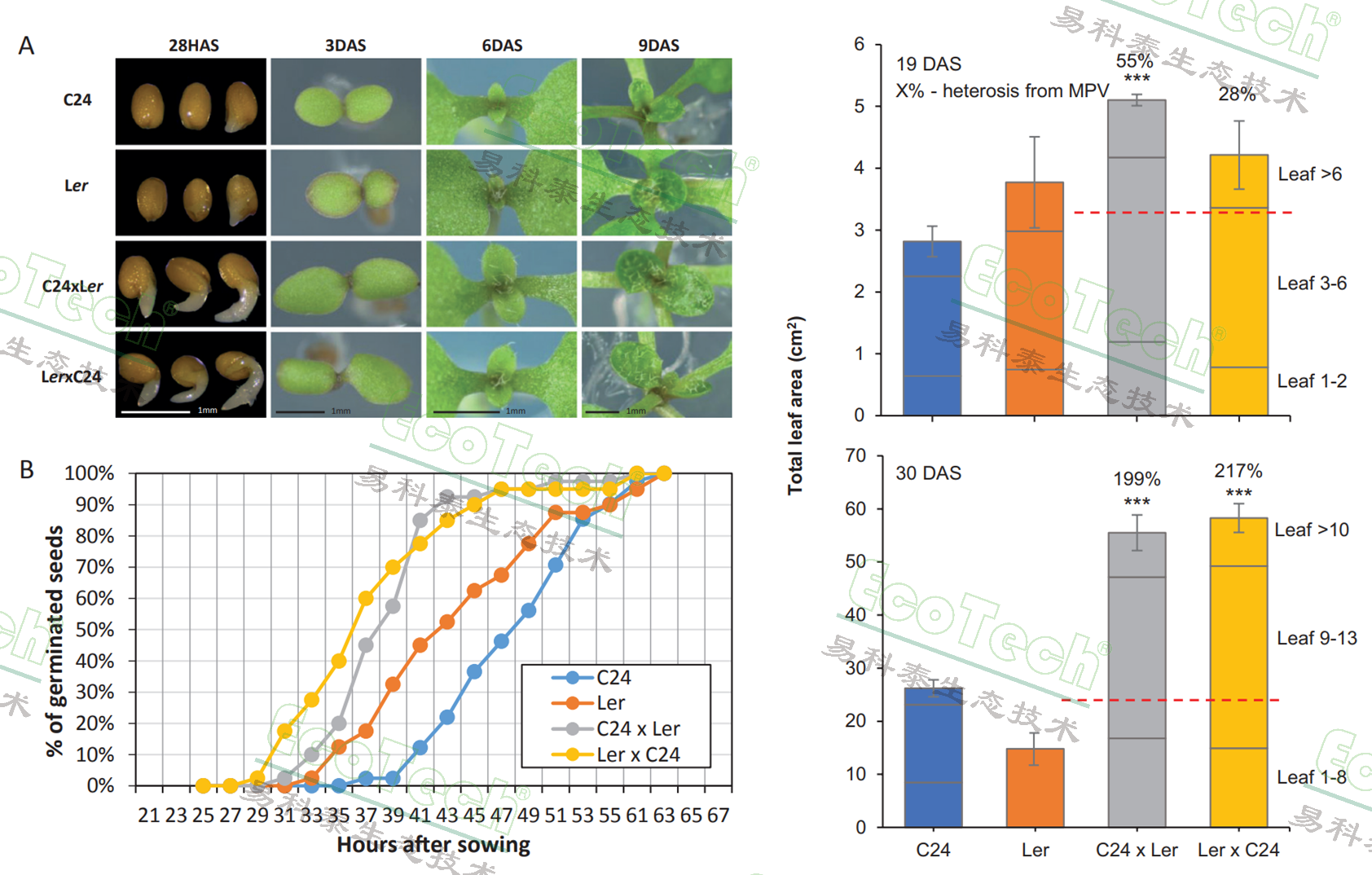 77779193永利官网(集团)有限公司