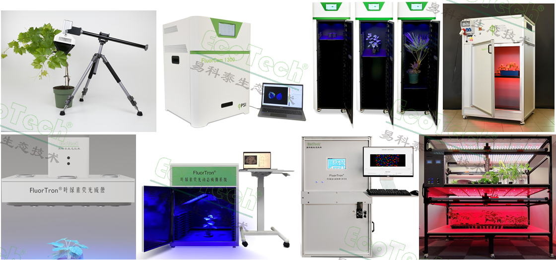 77779193永利官网(集团)有限公司