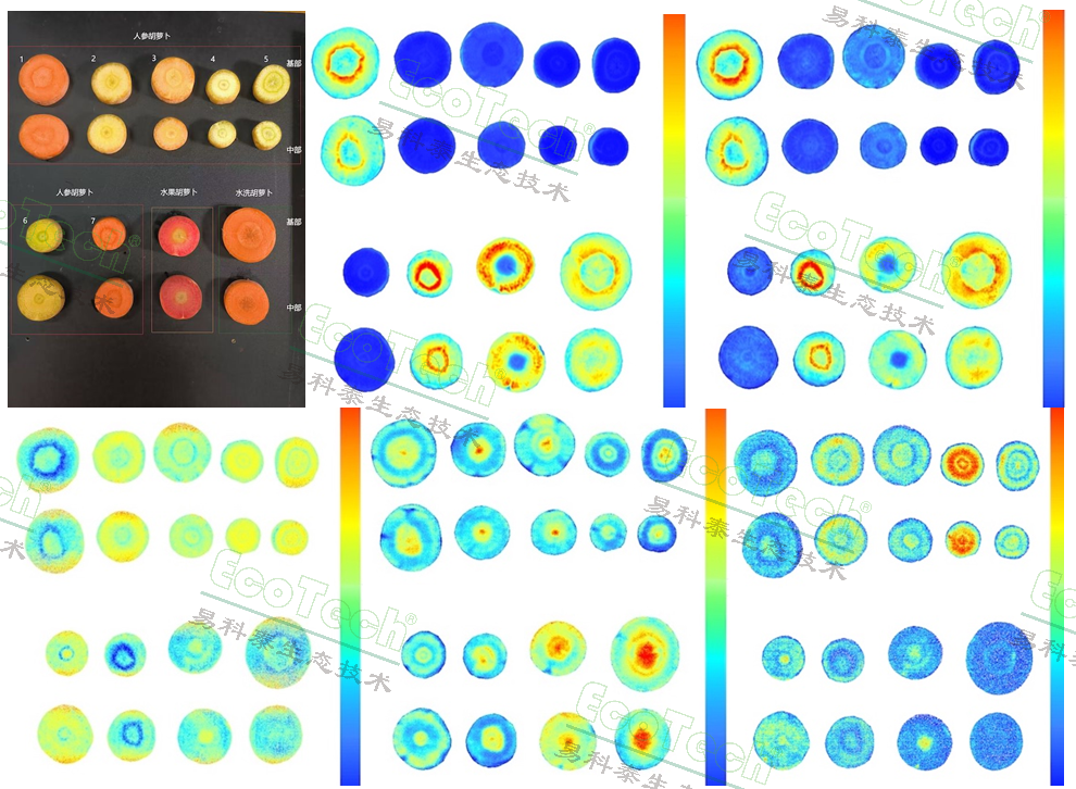 77779193永利官网(集团)有限公司