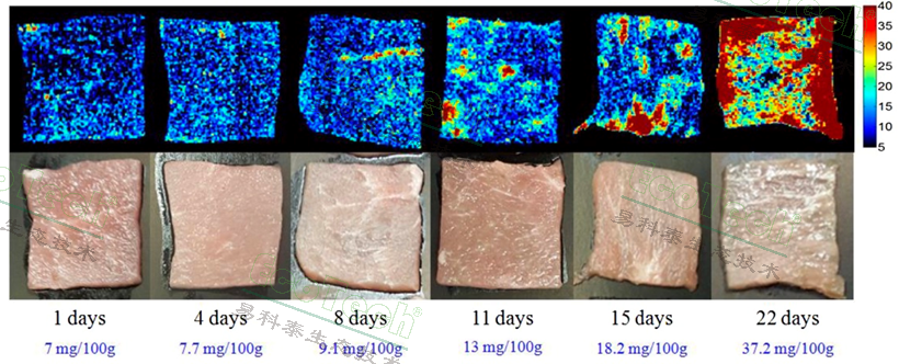 77779193永利官网(集团)有限公司