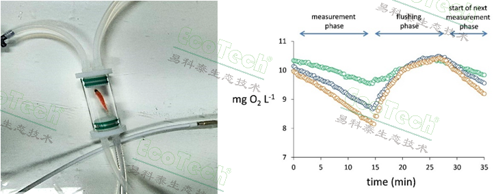 77779193永利官网(集团)有限公司