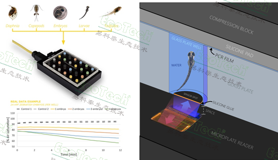 77779193永利官网(集团)有限公司