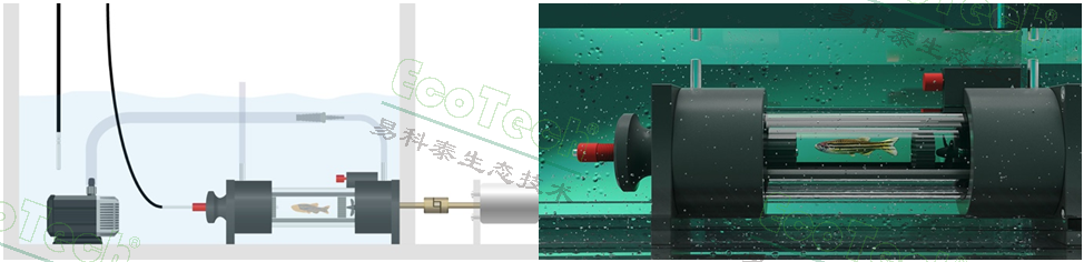 77779193永利官网(集团)有限公司