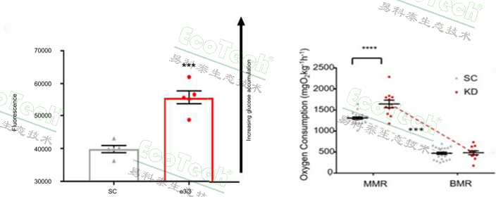 77779193永利官网(集团)有限公司