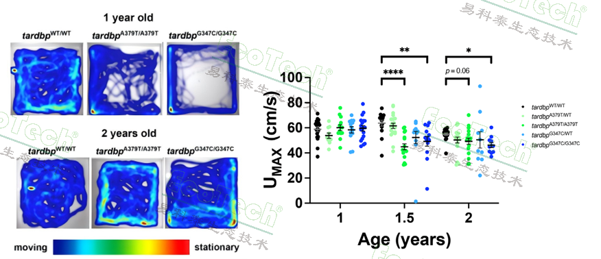 77779193永利官网(集团)有限公司