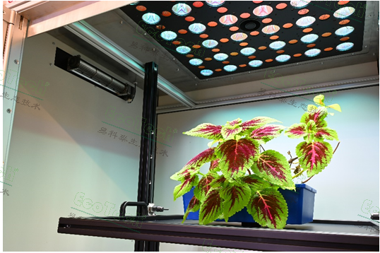 77779193永利官网(集团)有限公司