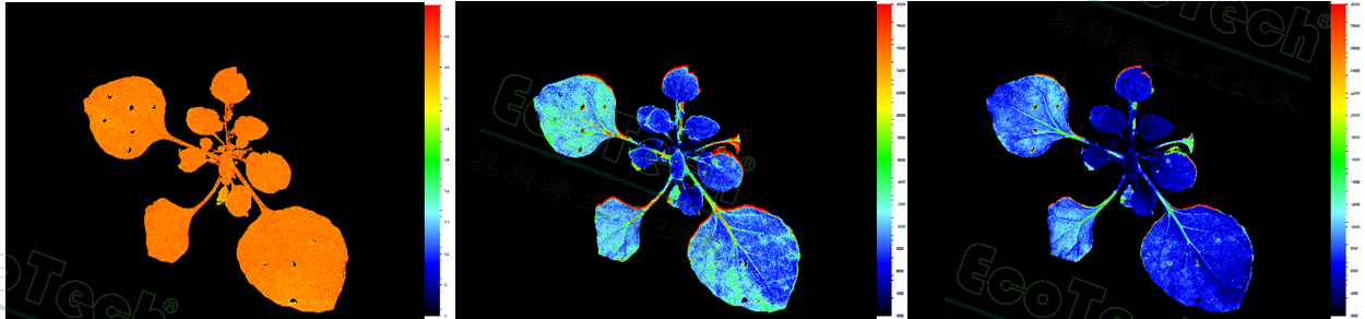 77779193永利官网(集团)有限公司