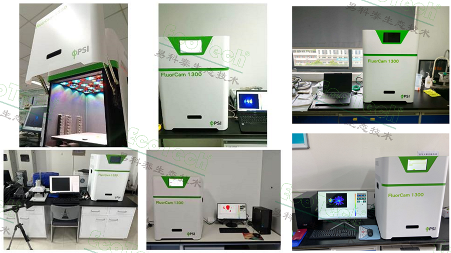 77779193永利官网(集团)有限公司