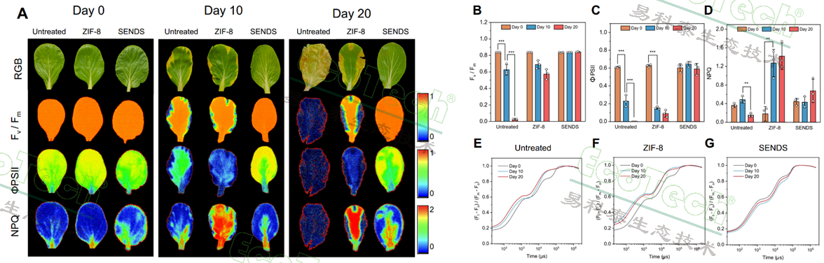 77779193永利官网(集团)有限公司