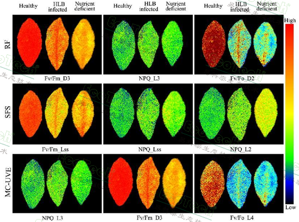 77779193永利官网(集团)有限公司