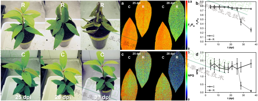 77779193永利官网(集团)有限公司