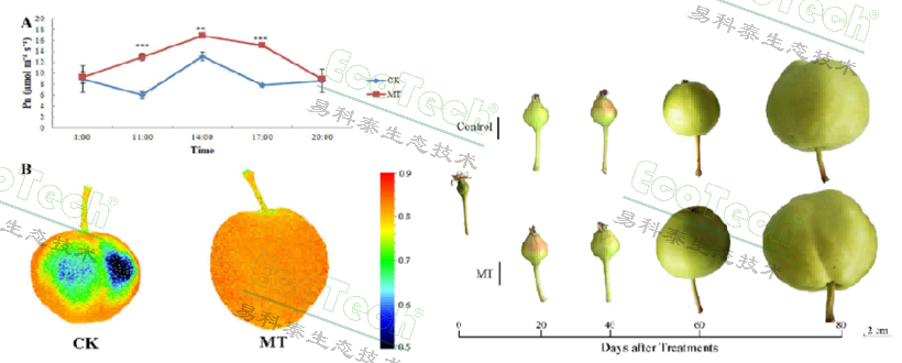 77779193永利官网(集团)有限公司