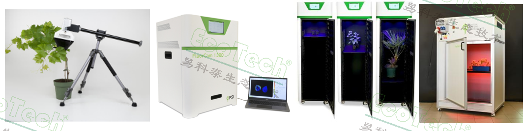 77779193永利官网(集团)有限公司