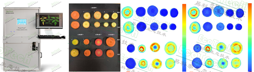 77779193永利官网(集团)有限公司