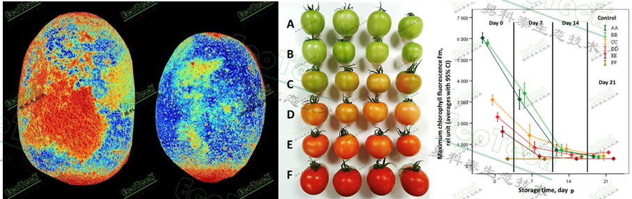 77779193永利官网(集团)有限公司