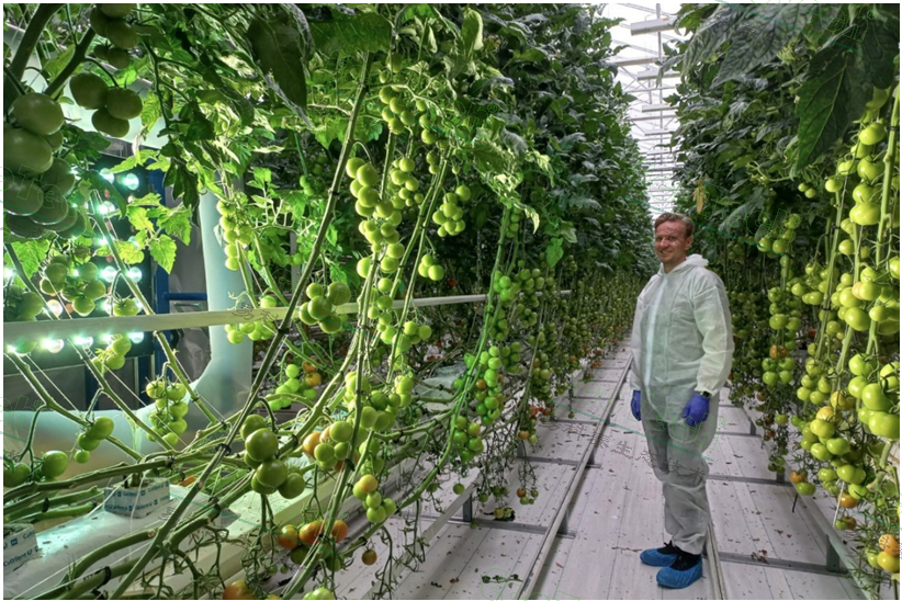 77779193永利官网(集团)有限公司